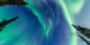 Night Sky with Purple