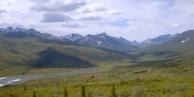 Tombstone Mountain Summer Landscape